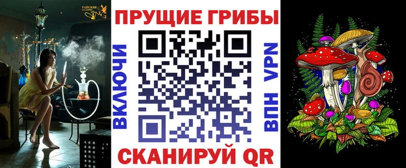 Псилоцибиновые грибы Psilocybe  Тара 