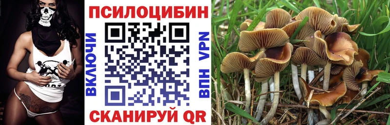 Псилоцибиновые грибы ЛСД Тара